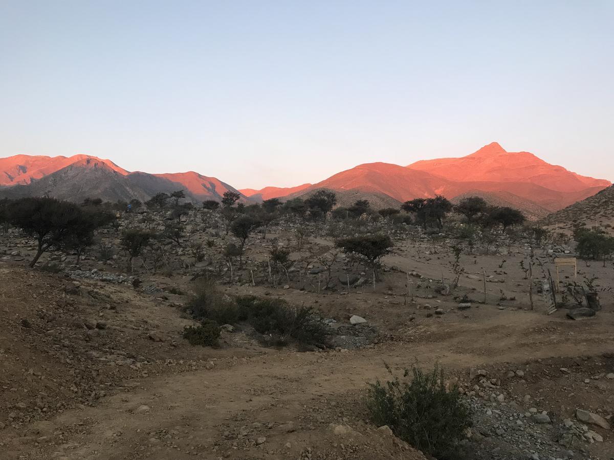 Inti Hotel Combarbala المظهر الخارجي الصورة